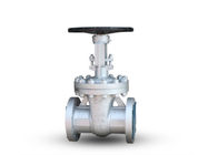 SS304 DN100 PN16 Stainless Steel Gate Valve Powder Coated